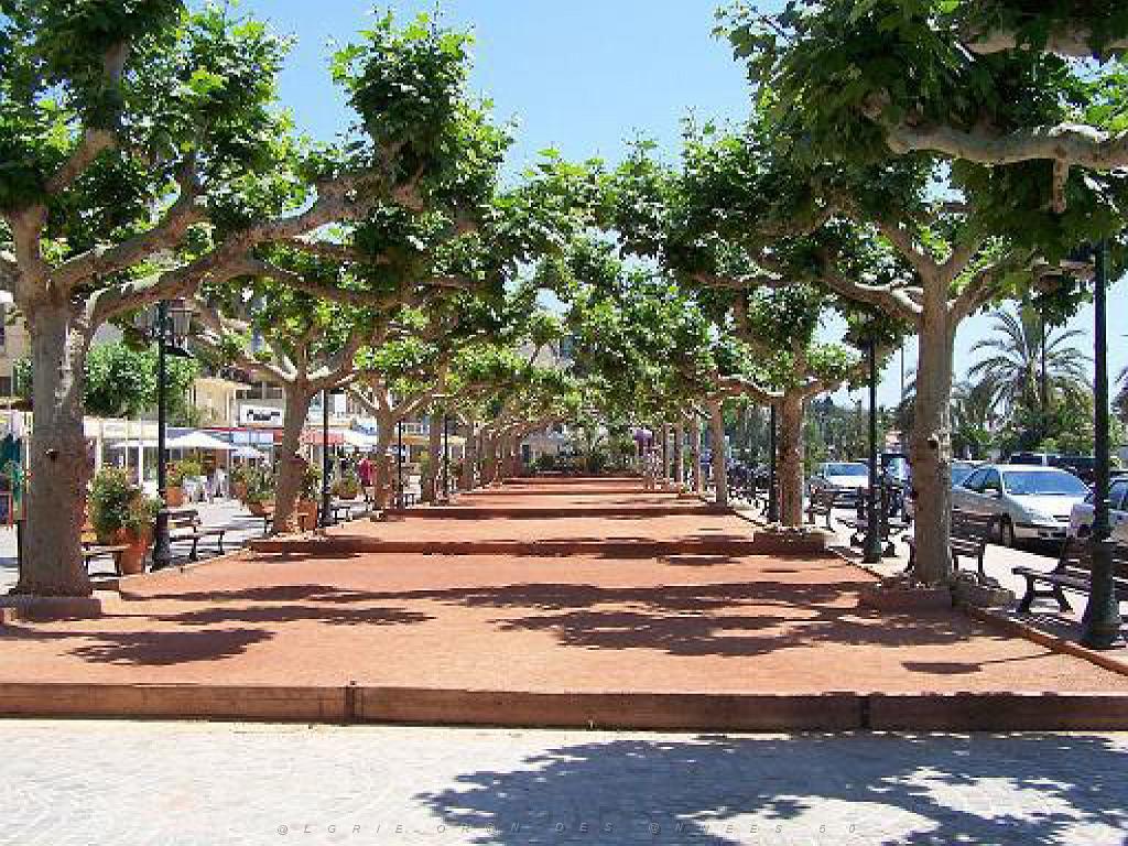 183 D36 LE LAVANDOU_000054.jpg